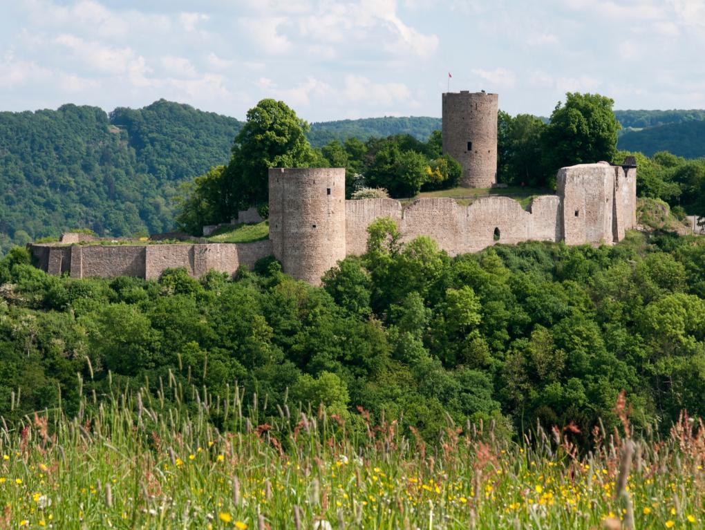 Naturregion Rhein Sieg