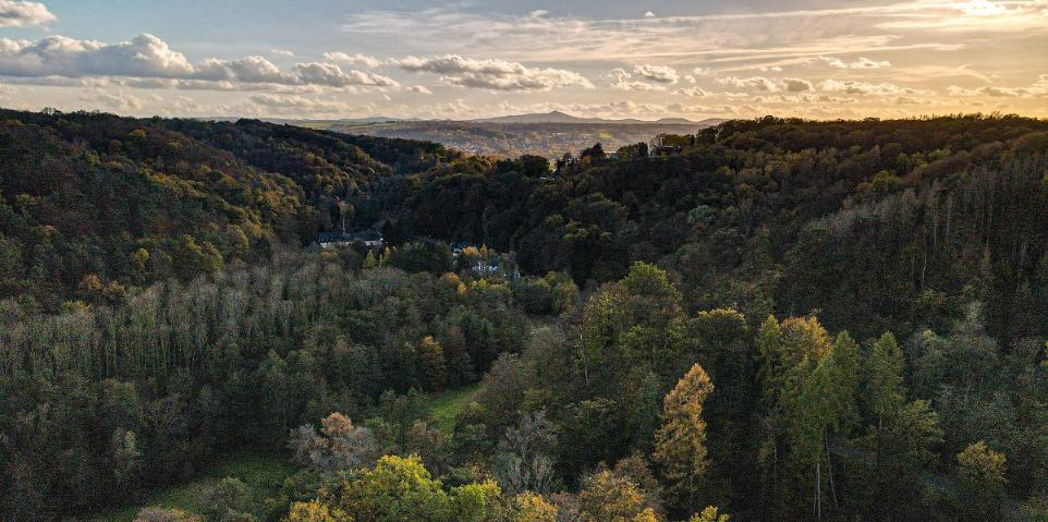 Seligenthal