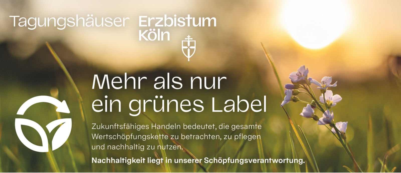 Nachhaltigkeit Banner Webseite